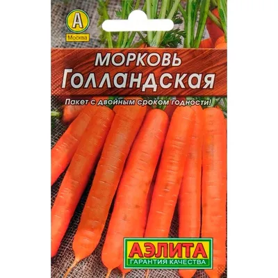 Цветная морковь-для чего нужен каждый цвет. Вы этого точно не знали | Дача  Удачи | Дзен