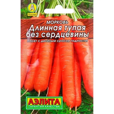 Почему морковь в Узбекистане резко подорожала – Новости Узбекистана –  Газета.uz