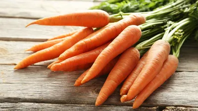 морковь иллюстрация штока. иллюстрации насчитывающей овощ - 4316618