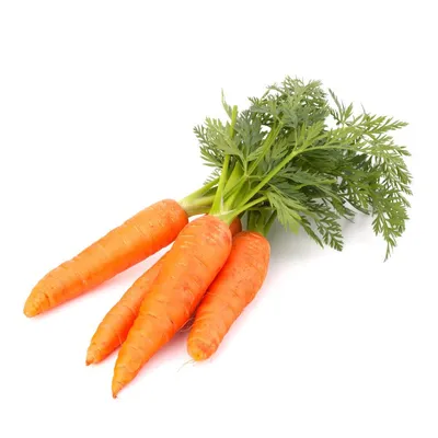 Сушёная морковь 40 г купить в магазине походной еды Каша из топора