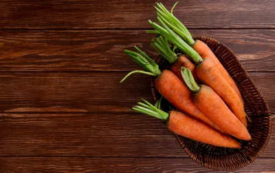 Посадка моркови и свеклы весной в открытый грунт: морковь, посадка,  хитрости - 21 мая 2023 - НГС
