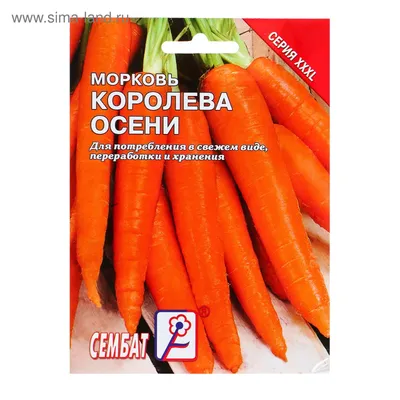 Морковь Королева осени - Садовый центр «СадОК»