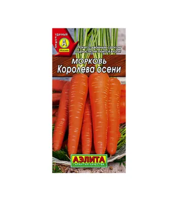 Семена ХХХL Морковь \"Королева осени\", 10 г (4662780) - Купить по цене от  52.00 руб. | Интернет магазин SIMA-LAND.RU