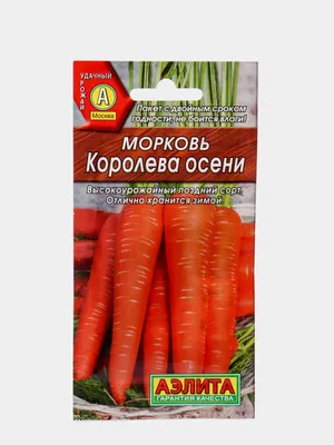 Семена морковь \"Королева Осени\" 500г позднеспелый урожайный сорт весовые  семена морковь Королева осень: продажа, цена в Днепре. Семена и рассада  овощных культур от \"AGROSVIT\" - 1741716637