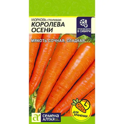 Семена Морковь Королева осени Поиск, 2 г купить в Москве по цене 25.00 р с  доставкой в интернет-магазине | ФРОНТМАСТЕР