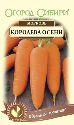 Морковь Королева Осени (The Queen of Autumn)