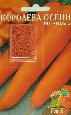 Морковь Королева осени
