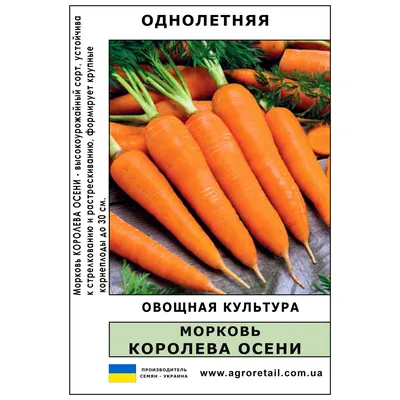 Семена Морковь \"Королева Осени\", 500 г 9330938 Сембат купить по цене от 1  480руб. | Трикотаж Плюс | Екатеринбург, Москва