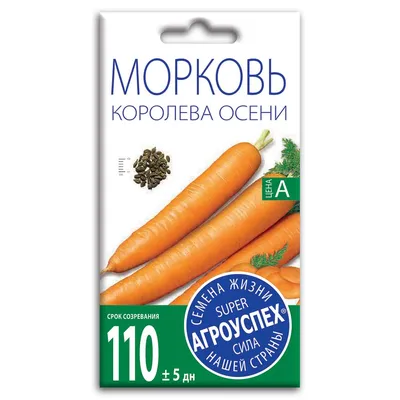 Морковь Королева Осени 10г : Нк Елит - семена купить в Киеве, Украине фото,  отзывы, описание - Дачник