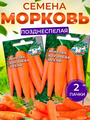 Морковь Королева Осени 20 г СУ (поздняя): продажа, цена в Запорожье. Семена  и рассада овощных культур от \"Интернет-магазин \"Росток\"\" - 499003939