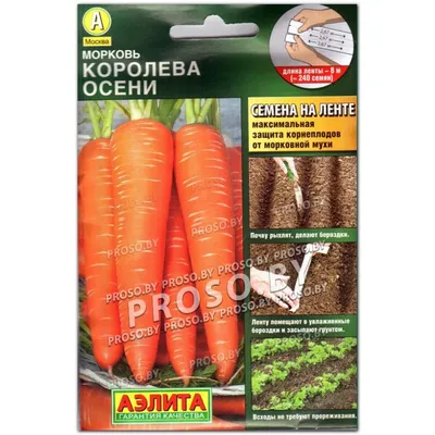 ✓ Семена Морковь Королева Осени, 1,5г, Удачные семена, серия ХИТ по цене  10,40 руб. ◈ Большой выбор ◈ Купить по всей России ✓ Интернет-магазин  Гавриш ☎ 8-495-902-77-18