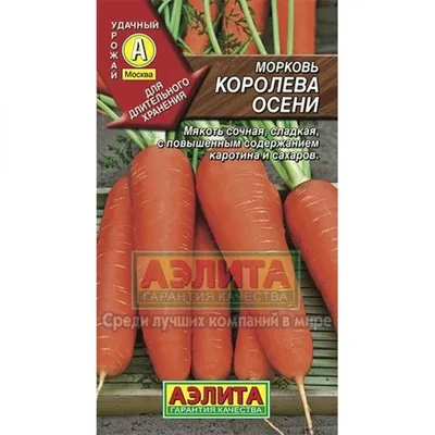 Морковь Королева осени | Ореховый Рай