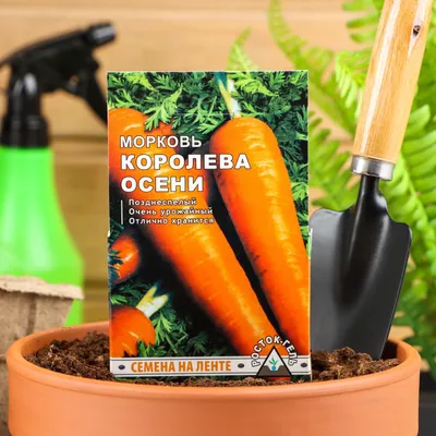 Семена Морковь, Королева Осени, 2 г, цветная упаковка, Поиск в Белгороде:  цены, фото, отзывы - купить в интернет-магазине Порядок.ру