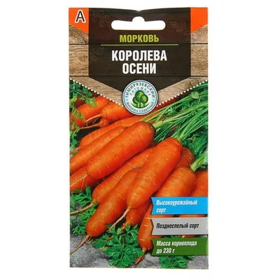 Семена Гавриш Морковь Королева осени 2 г купить для Бизнеса и офиса по  оптовой цене с доставкой в СберМаркет Бизнес