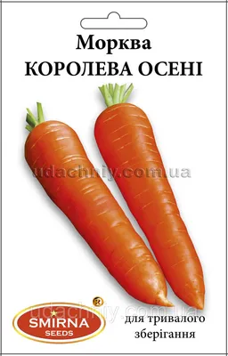 Семена морковь Королева осени 1г Престиж в Москве и области – купить по  низкой цене в интернет-магазине Дарвин