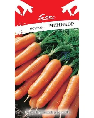 Аптека на грядке: Свекла и морковь от гипертонии