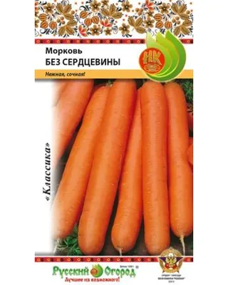 Мастер-класс по рисованию восковыми мелками и акварелью «Овощи на грядке»  для детей старшего дошкольного возраста (20 фото). Воспитателям детских  садов, школьным учителям и педагогам - Маам.ру