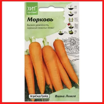 Рассыпьте эти удобрения на грядке осенью: урожай сочной морковки начнете  собирать уже весной