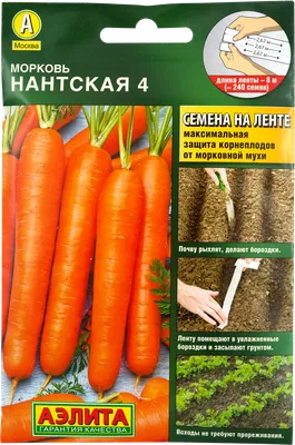 Морковь Нантская красная - Садовый центр «СадОК»