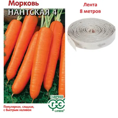 ✓ Семена Морковь Нантская 4, на ленте, 8м, Гавриш по цене 46 руб. ◈ Большой  выбор ◈ Купить по всей России ✓ Интернет-магазин Гавриш ☎ 8-495-902-77-18