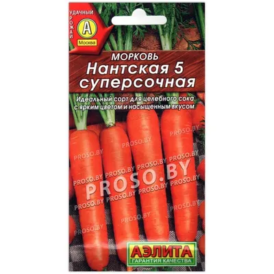 Семена GIARDINO CLUB Морковь Нантская 4 – купить онлайн, каталог товаров с  ценами интернет-магазина Лента | Москва, Санкт-Петербург, Россия