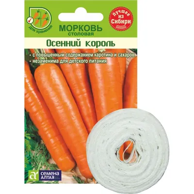 Морковь Осенний король (А) 2 г купить недорого в интернет-магазине товаров  для сада Бауцентр