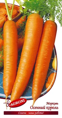 Морковь Осенний король 2г - купить в Москве в интернет-магазине