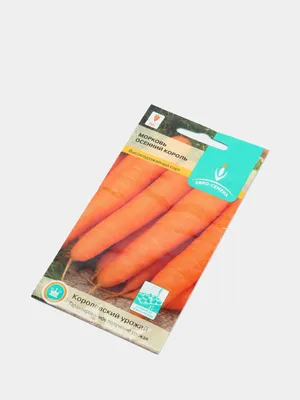 Морковь Осенний Король 2 г Агрони купить недорого в интернет-магазине  товаров для сада Бауцентр