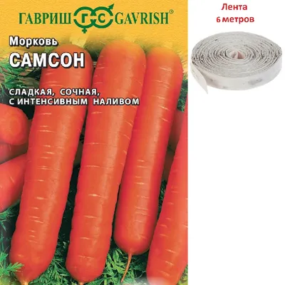 ✓ Семена Морковь Самсон, на ленте, 6м, Гавриш по цене 62 руб. ◈ Большой  выбор ◈ Купить по всей России ✓ Интернет-магазин Гавриш ☎ 8-495-902-77-18