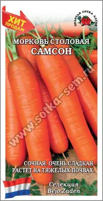 ✓ Семена Морковь Самсон, 0,5г, AgroElita, Bejo по цене 25,60 руб. ◈ Большой  выбор ◈ Купить по всей России ✓ Интернет-магазин Гавриш ☎ 8-495-902-77-18