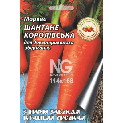 Семена моркови Шантане 2-Комет купить в Украине | Веснодар