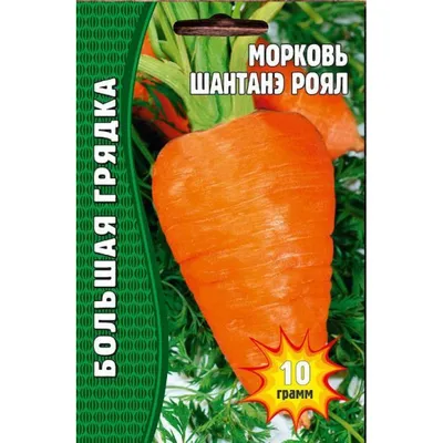 Семена Морковь Шантанэ Роял, 5000 сем. купить оптом или розницу. Выгодные  цены
