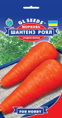 Семена моркови Шантане Роял купить в Украине | Веснодар