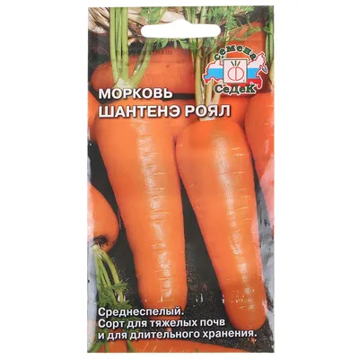 Семена, Морковь \"Шантанэ роял\" купить по цене 65 ₽ в интернет-магазине  KazanExpress