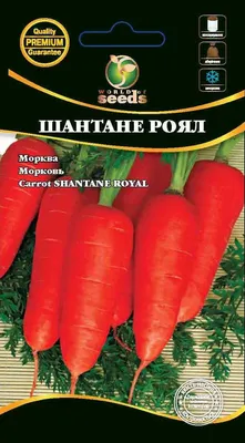 Морковь Шантанэ роял 2г (СеДеК) купить по цене 48 ₽ в интернет-магазине  KazanExpress