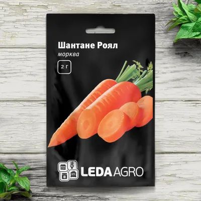 Семена моркови | купить семена моркови оптом и в розницу | цены от  производителя | магазин Sezon.com.ua