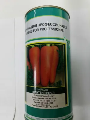 Морковь Шантане 2461 2,00г, XS (9860) купить с доставкой по России | ULBEST
