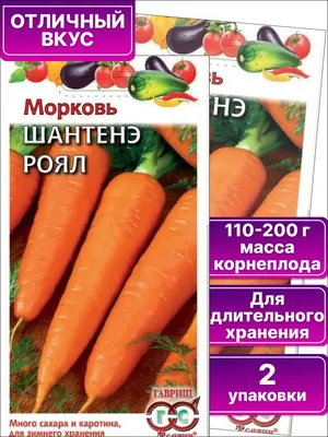 Семена моркови | морковь шантанэ-2461 2г, агролиния