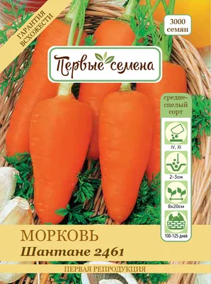 Морковь Шантане Роял 2 г купить в интернет-магазине Леруа Мерлен | Киев,  Одесса, доставка по Украине