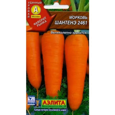 Семена моркови / Морковь Шантанэ Роял / Набор 2 упаковки Гавриш 154947651  купить за 111 ₽ в интернет-магазине Wildberries