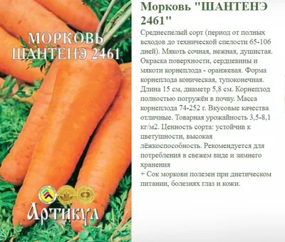 Семена морковь Первые семена Шантане Роял 021824-1 1 уп. - купить в Москве,  цены на Мегамаркет