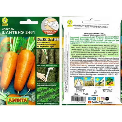 Семена Tim/морковь Шантане 2461 сред. 2г в Москве и области – купить по  низкой цене в интернет-магазине Дарвин