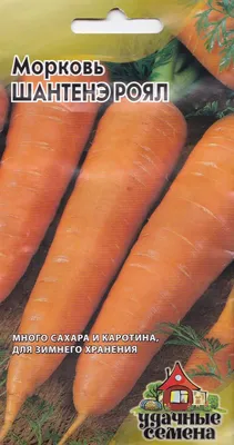 Морковь Григорьев Морковь - купить по выгодным ценам в интернет-магазине  OZON (824954479)