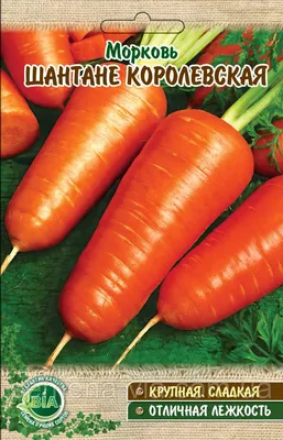 Морковь Шантане Рояль, 0.5 кг | Семена крупная фасовка