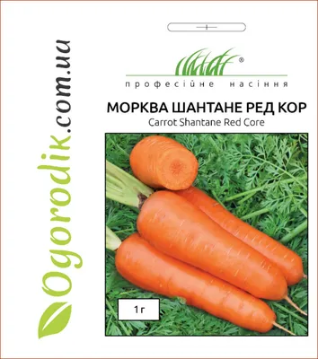 Морковь Шантанэ 2461 (Аэлита) Б - купить в интернет-магазине.