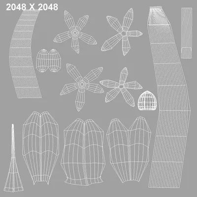 Rimia Maritima Urginea Maritima Squill Sea Squill Морской Лук Морской Сквил  Красный Сквил Уникальный Цветок Греции Луковичный В Цвету — стоковые  фотографии и другие картинки Без людей - iStock