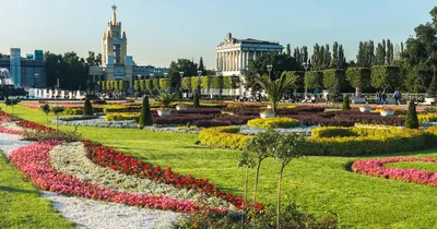 Московские парки :: Главный Ботанический сад им. Н.В. Цицина РАН