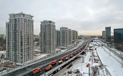 Ботанический сад МГУ. Аптекарский огород