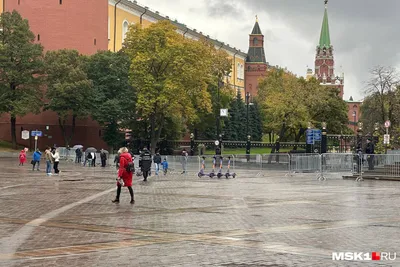Александровский сад зимой - фото №572 - Moscow Photos