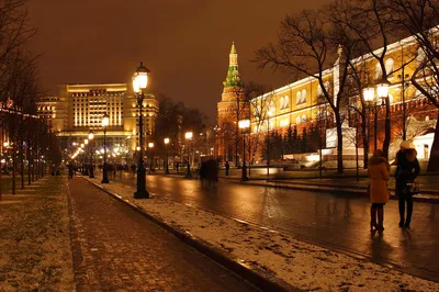 Александровский сад - Художники, выставки, картины...